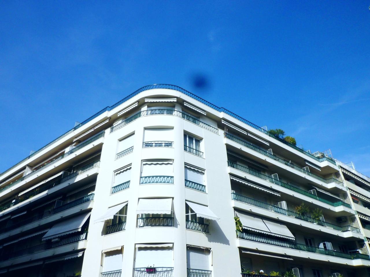 P1210858_copy.jpg