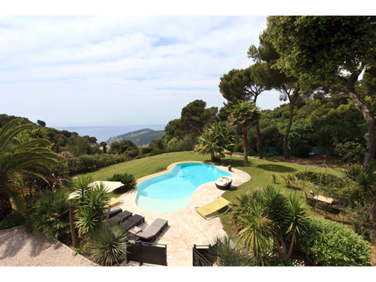 jardin piscine.jpg